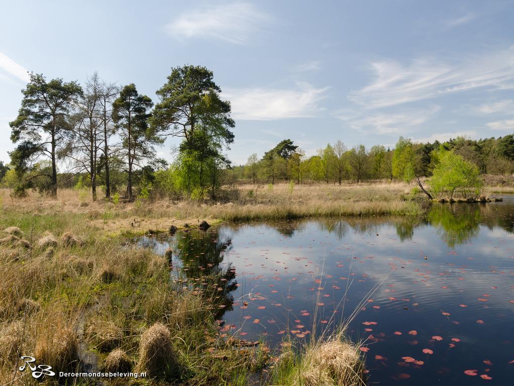 De Roermondse Beleving Bed & Breakfast Eksteriør bilde